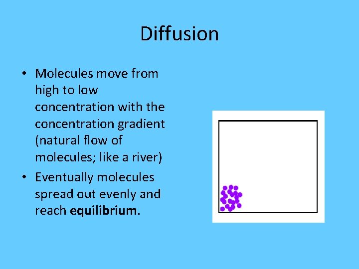 Diffusion • Molecules move from high to low concentration with the concentration gradient (natural