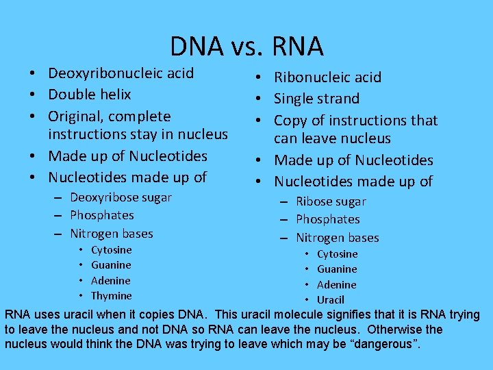 DNA vs. RNA • Deoxyribonucleic acid • Double helix • Original, complete instructions stay