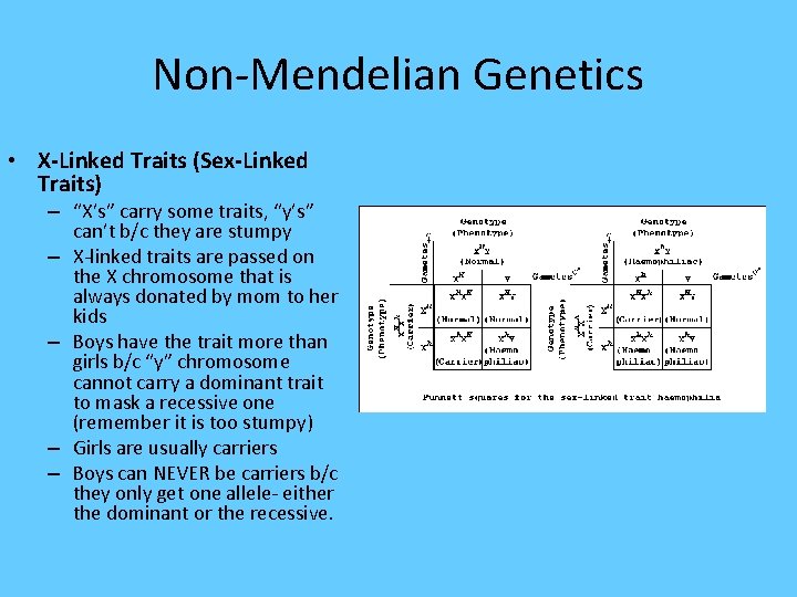 Non-Mendelian Genetics • X-Linked Traits (Sex-Linked Traits) – “X’s” carry some traits, “y’s” can’t
