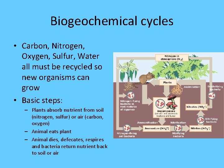 Biogeochemical cycles • Carbon, Nitrogen, Oxygen, Sulfur, Water all must be recycled so new