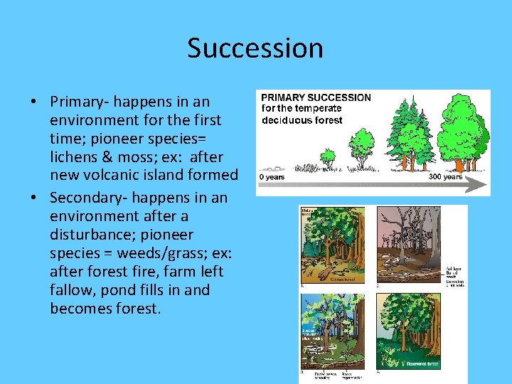 Succession • Primary- happens in an environment for the first time; pioneer species= lichens