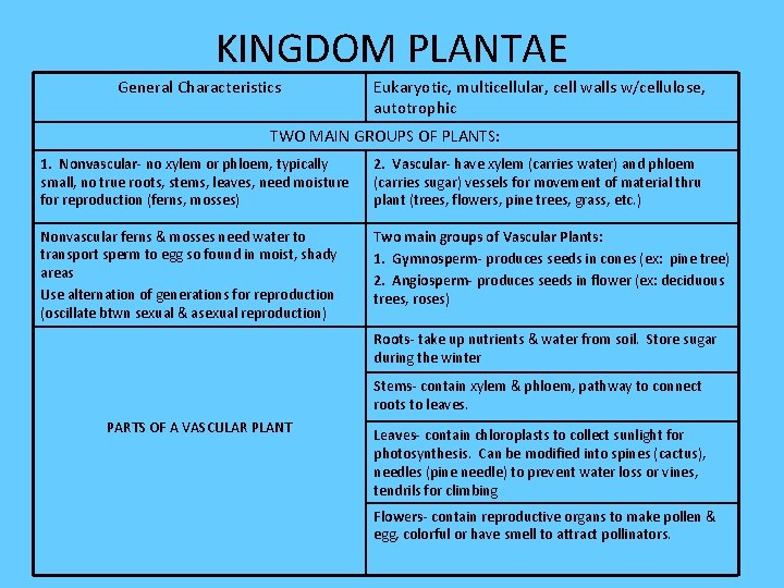 KINGDOM PLANTAE General Characteristics Eukaryotic, multicellular, cell walls w/cellulose, autotrophic TWO MAIN GROUPS OF