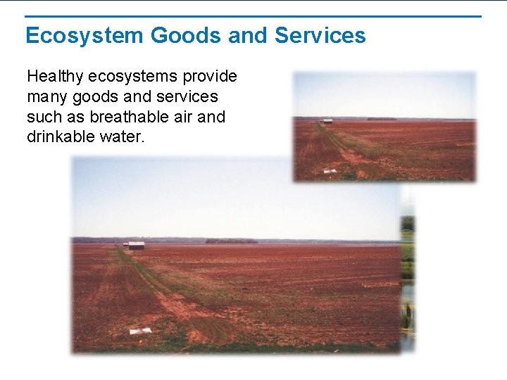 Ecosystem Goods and Services Healthy ecosystems provide many goods and services such as breathable