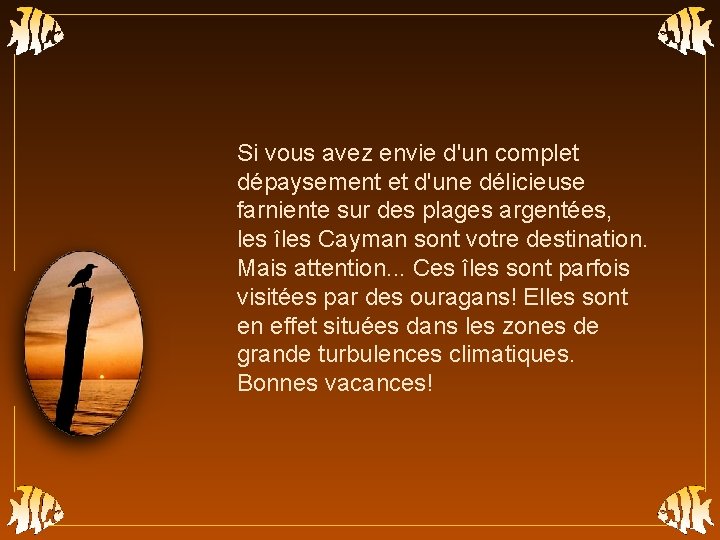 Si vous avez envie d'un complet dépaysement et d'une délicieuse farniente sur des plages