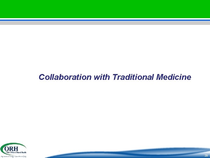 Collaboration with Traditional Medicine 29 