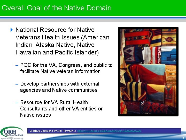 Overall Goal of the Native Domain 4 National Resource for Native Veterans Health Issues