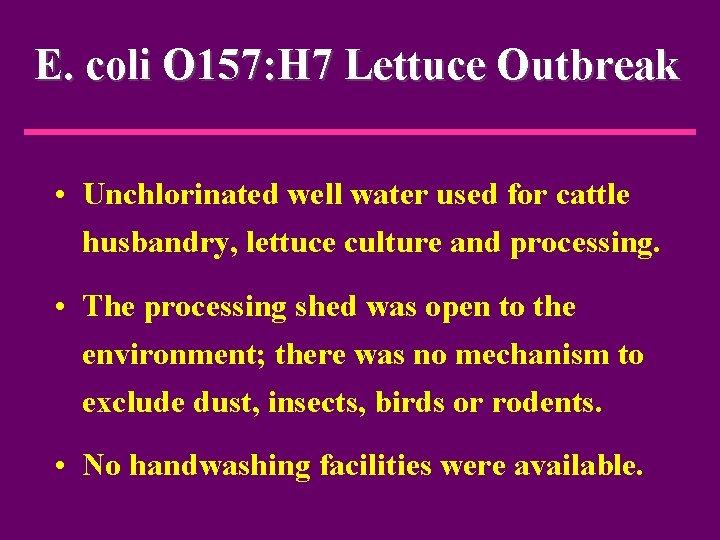 E. coli O 157: H 7 Lettuce Outbreak • Unchlorinated well water used for