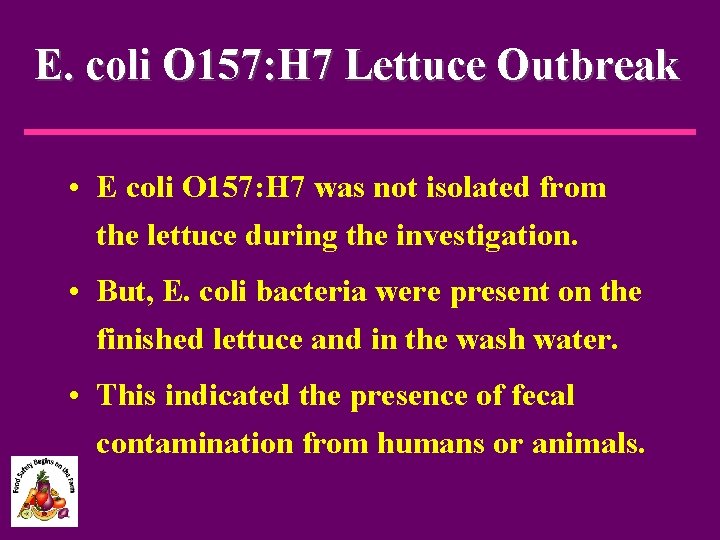 E. coli O 157: H 7 Lettuce Outbreak • E coli O 157: H