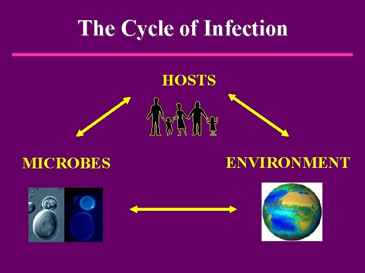 The Cycle of Infection HOSTS MICROBES ENVIRONMENT 