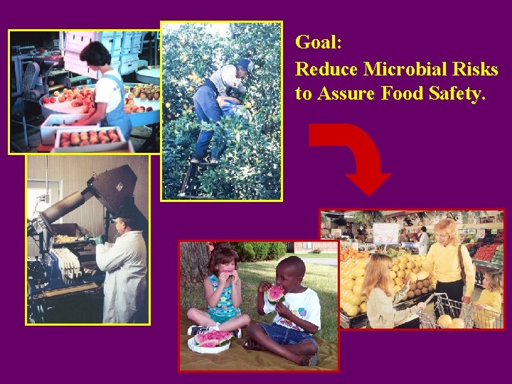 Goal: Reduce Microbial Risks to Assure Food Safety. 