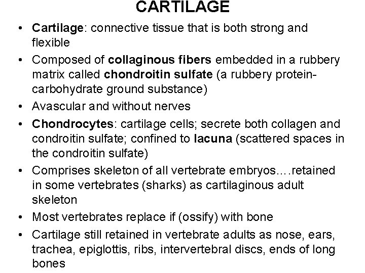 CARTILAGE • Cartilage: connective tissue that is both strong and flexible • Composed of