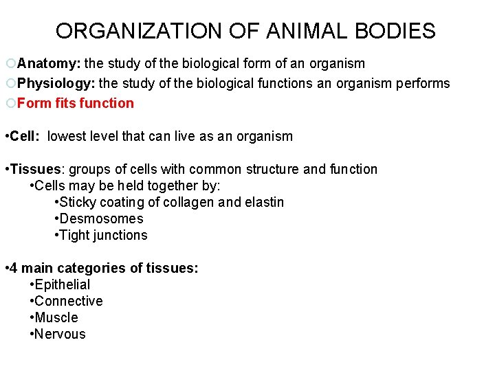 ORGANIZATION OF ANIMAL BODIES Anatomy: the study of the biological form of an organism