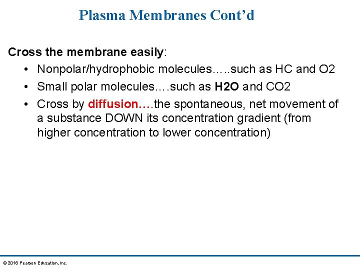 Plasma Membranes Cont’d Cross the membrane easily: • Nonpolar/hydrophobic molecules…. . such as HC