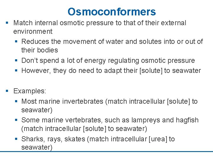 Osmoconformers § Match internal osmotic pressure to that of their external environment § Reduces
