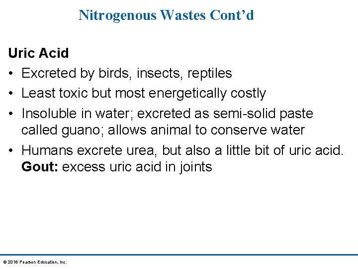 Nitrogenous Wastes Cont’d Uric Acid • Excreted by birds, insects, reptiles • Least toxic