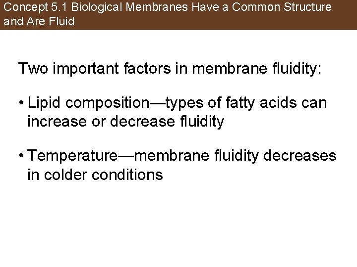 Concept 5. 1 Biological Membranes Have a Common Structure and Are Fluid Two important