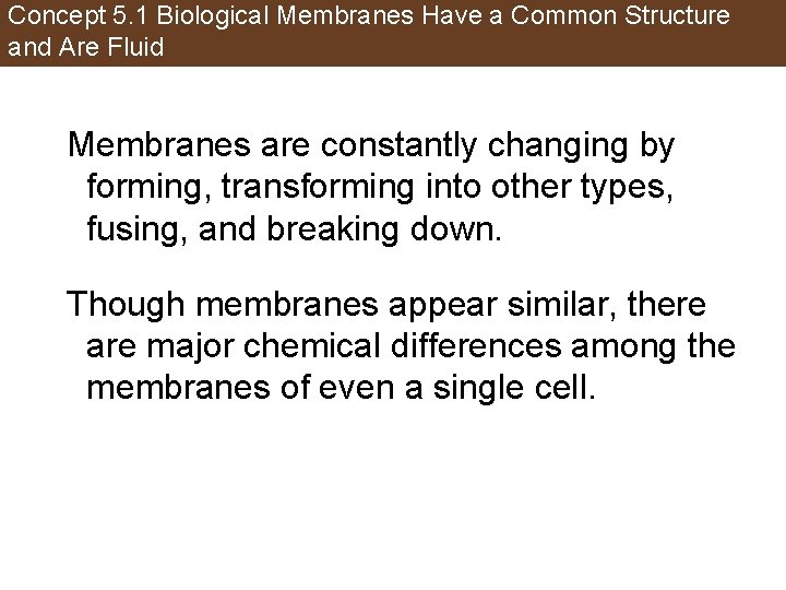 Concept 5. 1 Biological Membranes Have a Common Structure and Are Fluid Membranes are
