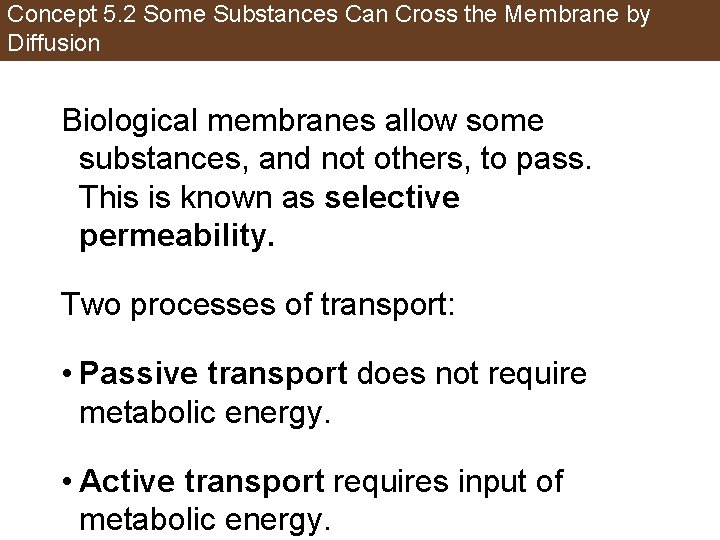 Concept 5. 2 Some Substances Can Cross the Membrane by Diffusion Biological membranes allow
