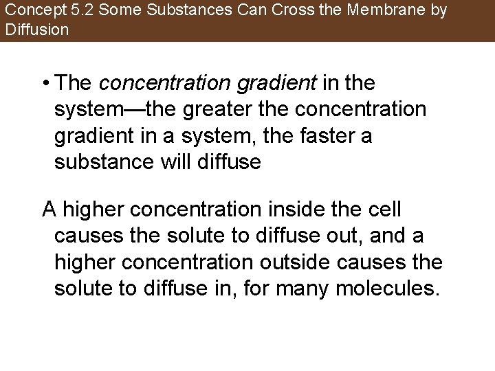 Concept 5. 2 Some Substances Can Cross the Membrane by Diffusion • The concentration