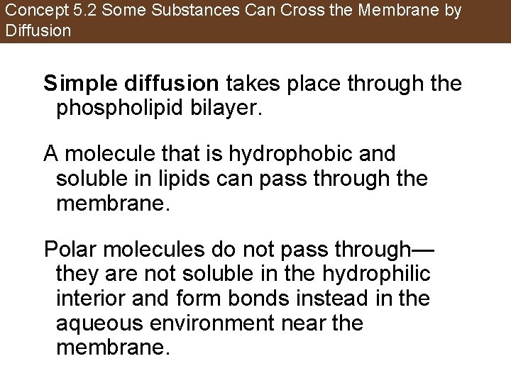 Concept 5. 2 Some Substances Can Cross the Membrane by Diffusion Simple diffusion takes