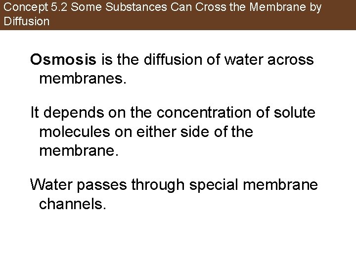 Concept 5. 2 Some Substances Can Cross the Membrane by Diffusion Osmosis is the