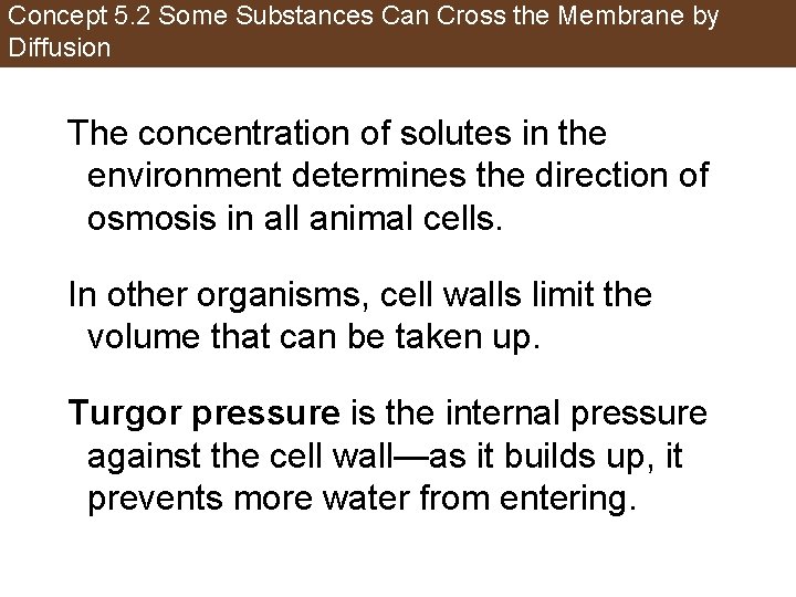 Concept 5. 2 Some Substances Can Cross the Membrane by Diffusion The concentration of