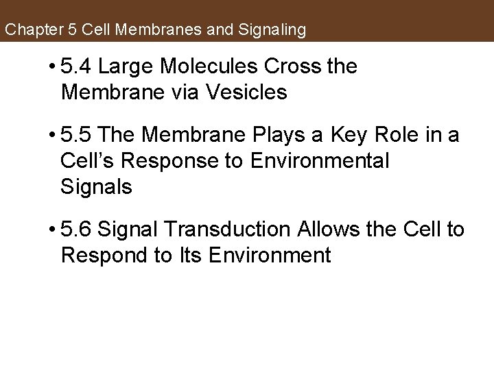 Chapter 5 Cell Membranes and Signaling • 5. 4 Large Molecules Cross the Membrane