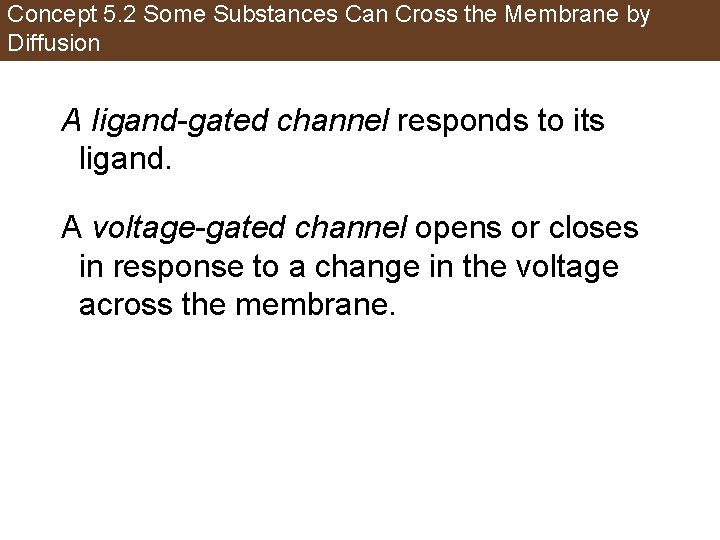 Concept 5. 2 Some Substances Can Cross the Membrane by Diffusion A ligand-gated channel