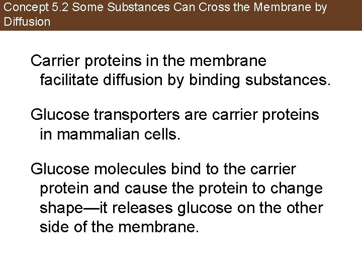 Concept 5. 2 Some Substances Can Cross the Membrane by Diffusion Carrier proteins in