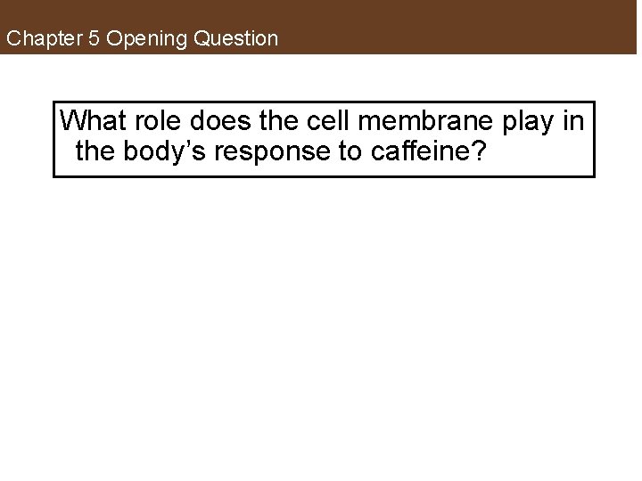 Chapter 5 Opening Question What role does the cell membrane play in the body’s