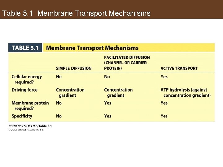 Table 5. 1 Membrane Transport Mechanisms 