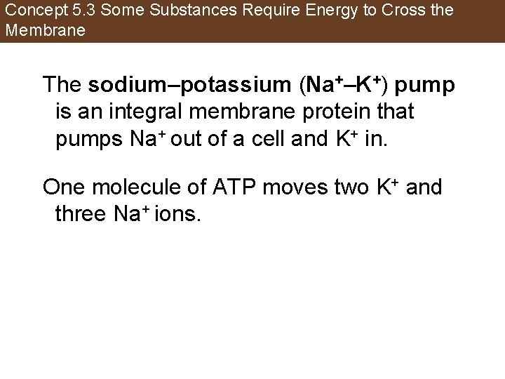 Concept 5. 3 Some Substances Require Energy to Cross the Membrane The sodium–potassium (Na+–K+)
