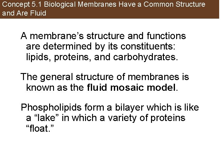 Concept 5. 1 Biological Membranes Have a Common Structure and Are Fluid A membrane’s