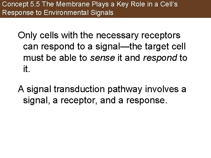 Concept 5. 5 The Membrane Plays a Key Role in a Cell’s Response to