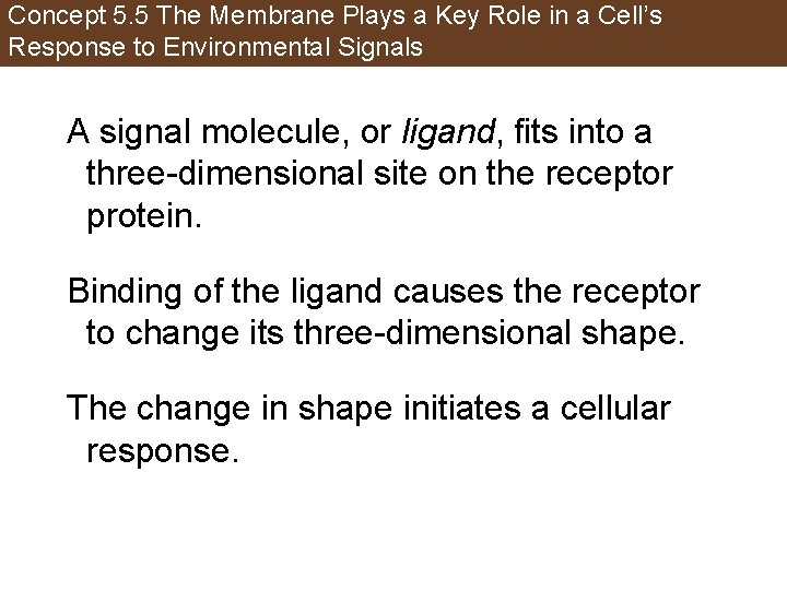 Concept 5. 5 The Membrane Plays a Key Role in a Cell’s Response to