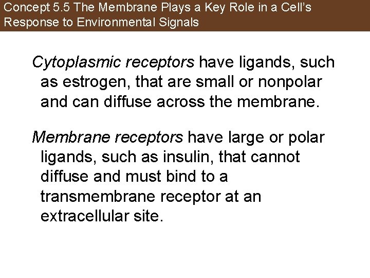 Concept 5. 5 The Membrane Plays a Key Role in a Cell’s Response to
