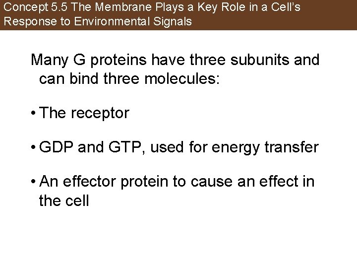 Concept 5. 5 The Membrane Plays a Key Role in a Cell’s Response to