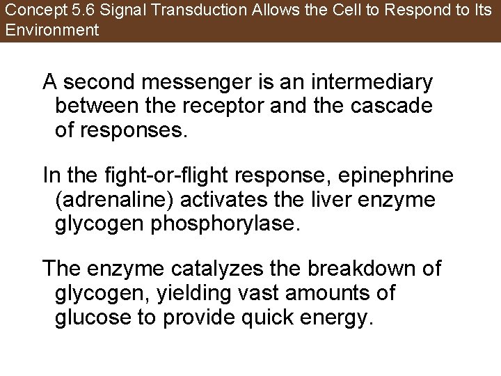 Concept 5. 6 Signal Transduction Allows the Cell to Respond to Its Environment A