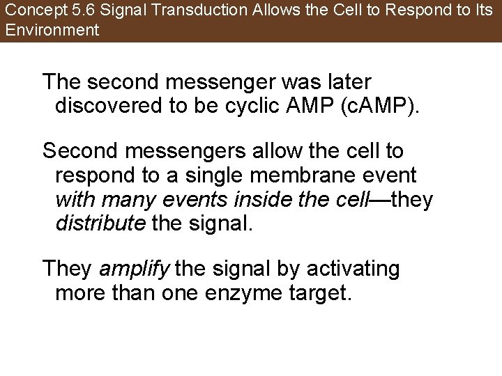 Concept 5. 6 Signal Transduction Allows the Cell to Respond to Its Environment The