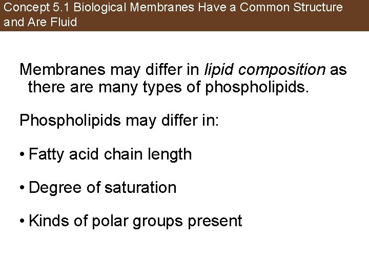 Concept 5. 1 Biological Membranes Have a Common Structure and Are Fluid Membranes may