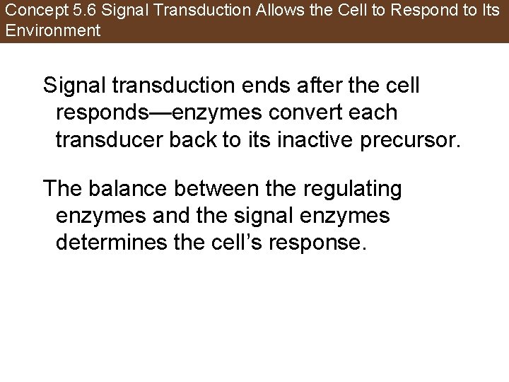 Concept 5. 6 Signal Transduction Allows the Cell to Respond to Its Environment Signal