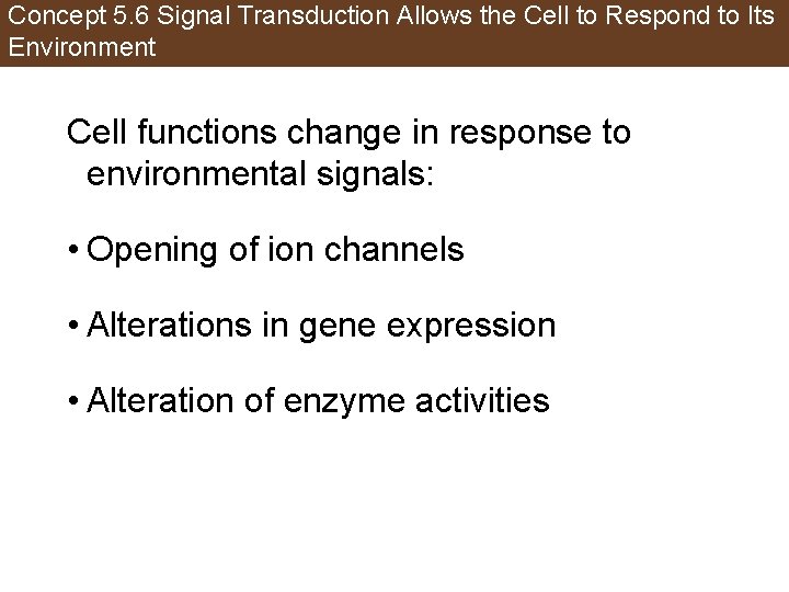 Concept 5. 6 Signal Transduction Allows the Cell to Respond to Its Environment Cell