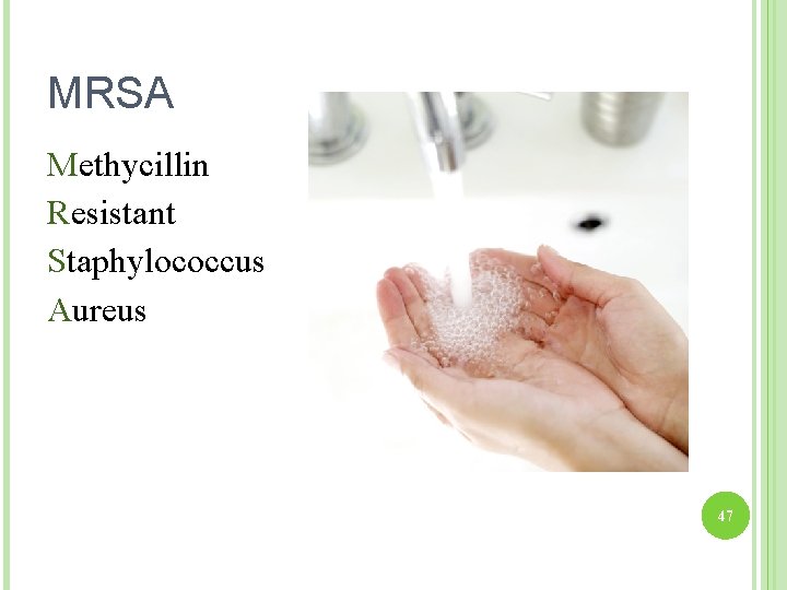 MRSA Methycillin Resistant Staphylococcus Aureus 47 