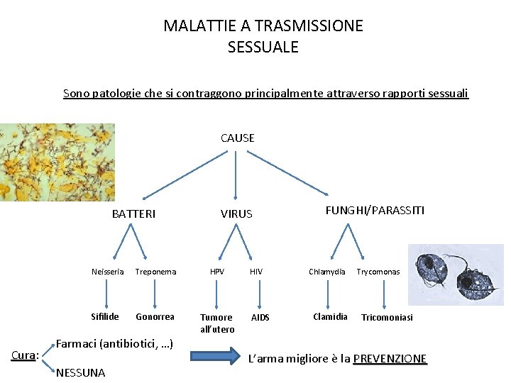 MALATTIE A TRASMISSIONE SESSUALE Sono patologie che si contraggono principalmente attraverso rapporti sessuali CAUSE