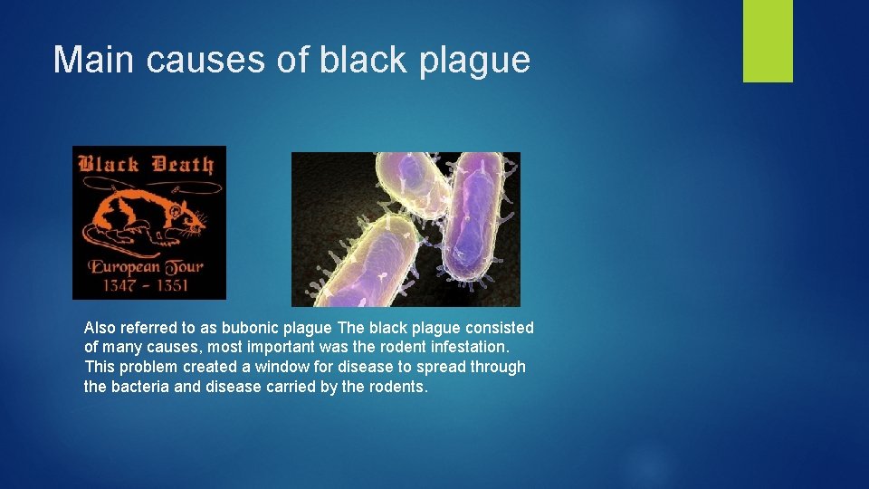Main causes of black plague Also referred to as bubonic plague The black plague