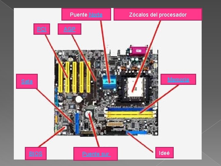 Puente Norte PCI AGP Memoria Sata BIOS Zócalos del procesador Puente sur Ideé 