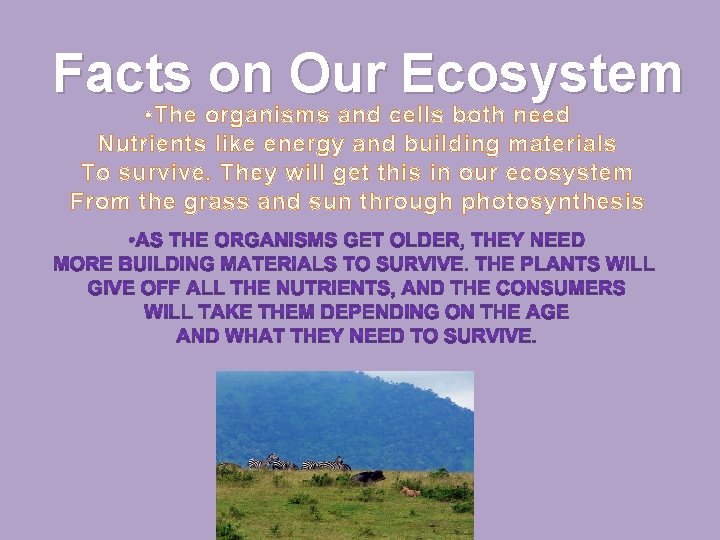 Facts on Our Ecosystem • The organisms and cells both need Nutrients like energy