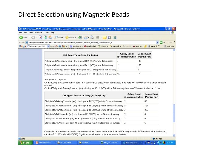 Direct Selection using Magnetic Beads 