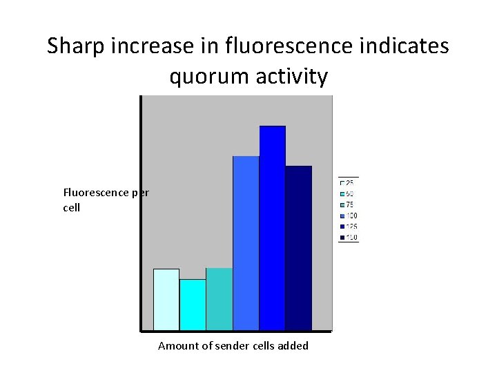 Sharp increase in fluorescence indicates quorum activity Fluorescence per cell Amount of sender cells