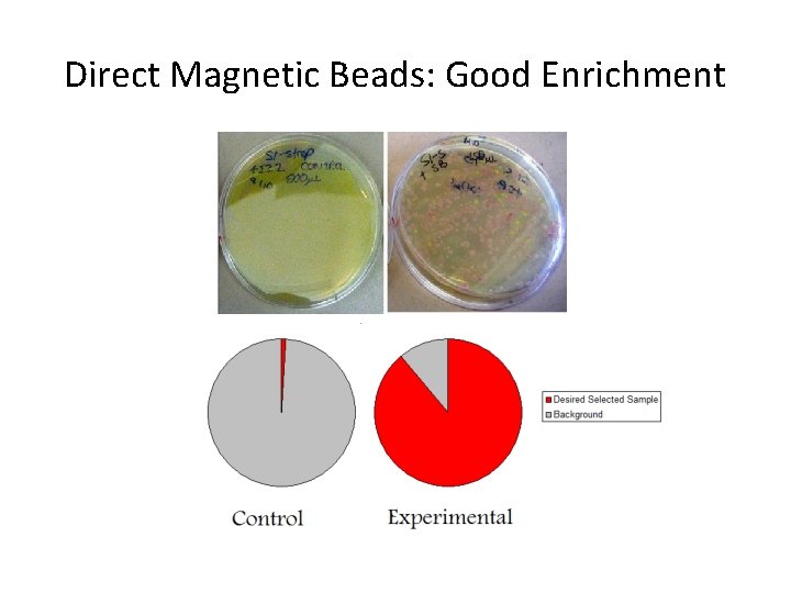 Direct Magnetic Beads: Good Enrichment 